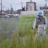 除草作業中の画像